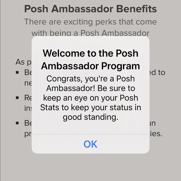 POSH AMBASSADOR | Like this to bookmark my Closet! - Picture 10 of 10